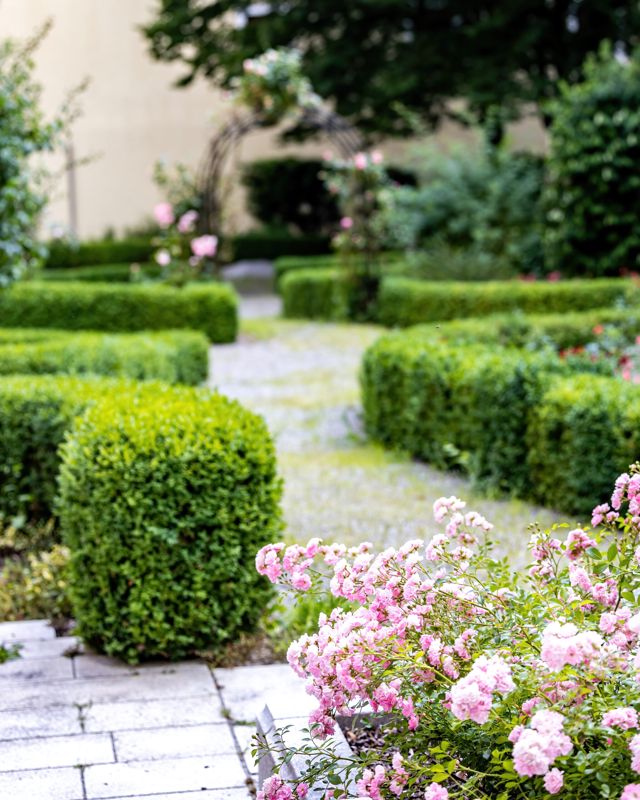 Der Rosengarten: geschnittene Buchsbaumhecken, ein Rosenbogen über dem Weg und blühende Kletterrosen