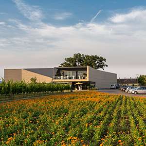 Weingut Esterházy